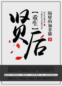 重生之贤后不贤