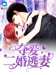 叶少的夺爱婚妻免费阅读