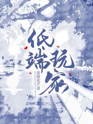 低端玩家金呆了txt