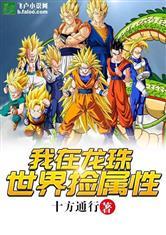 龙珠之属性捡取